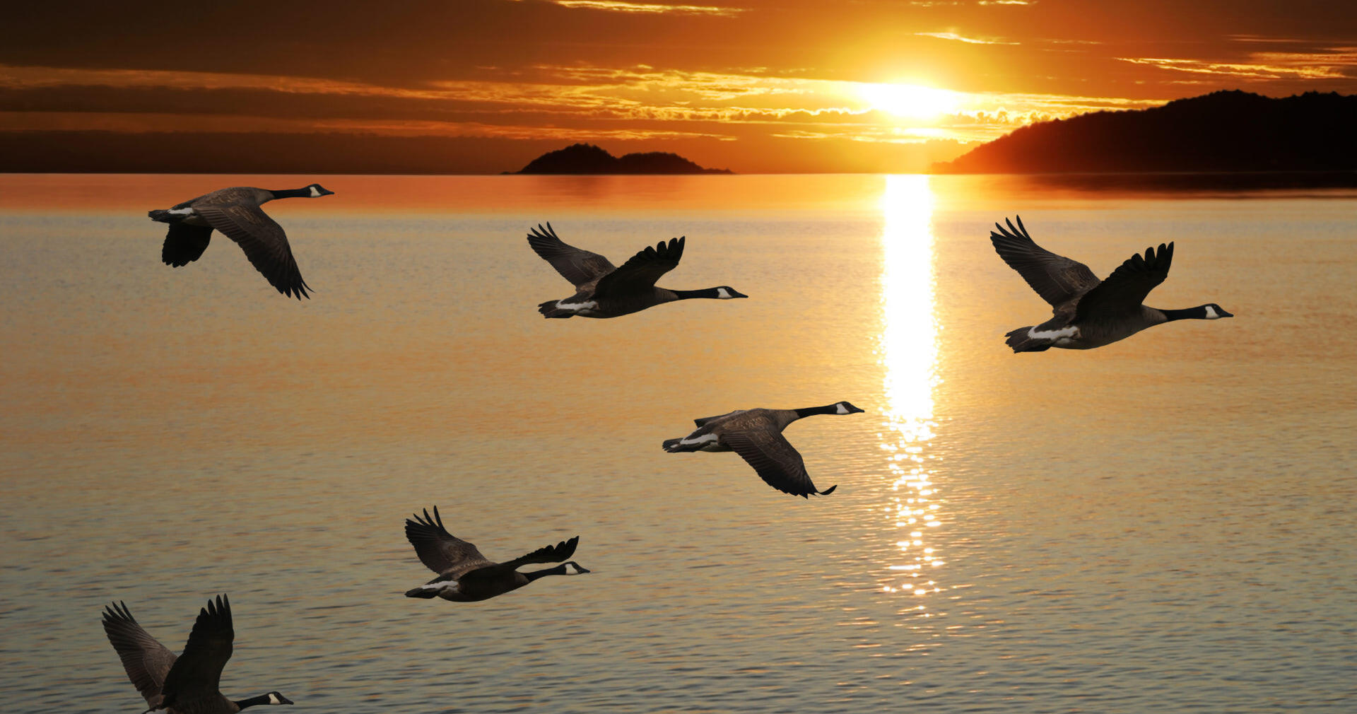 Ретаргетинг в Яндекс.Директ: что это такое и как он работает