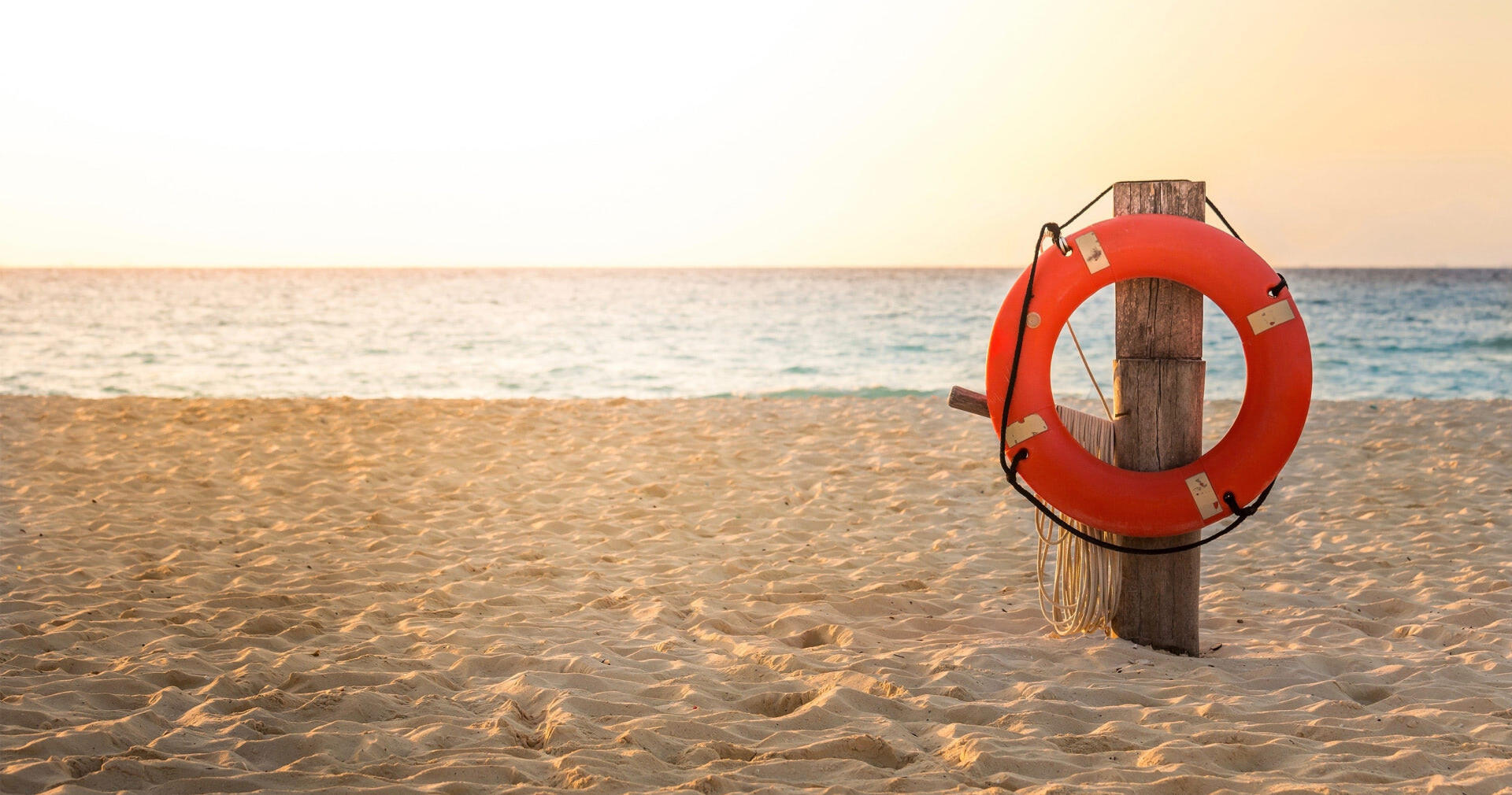 Бизнес не сдается