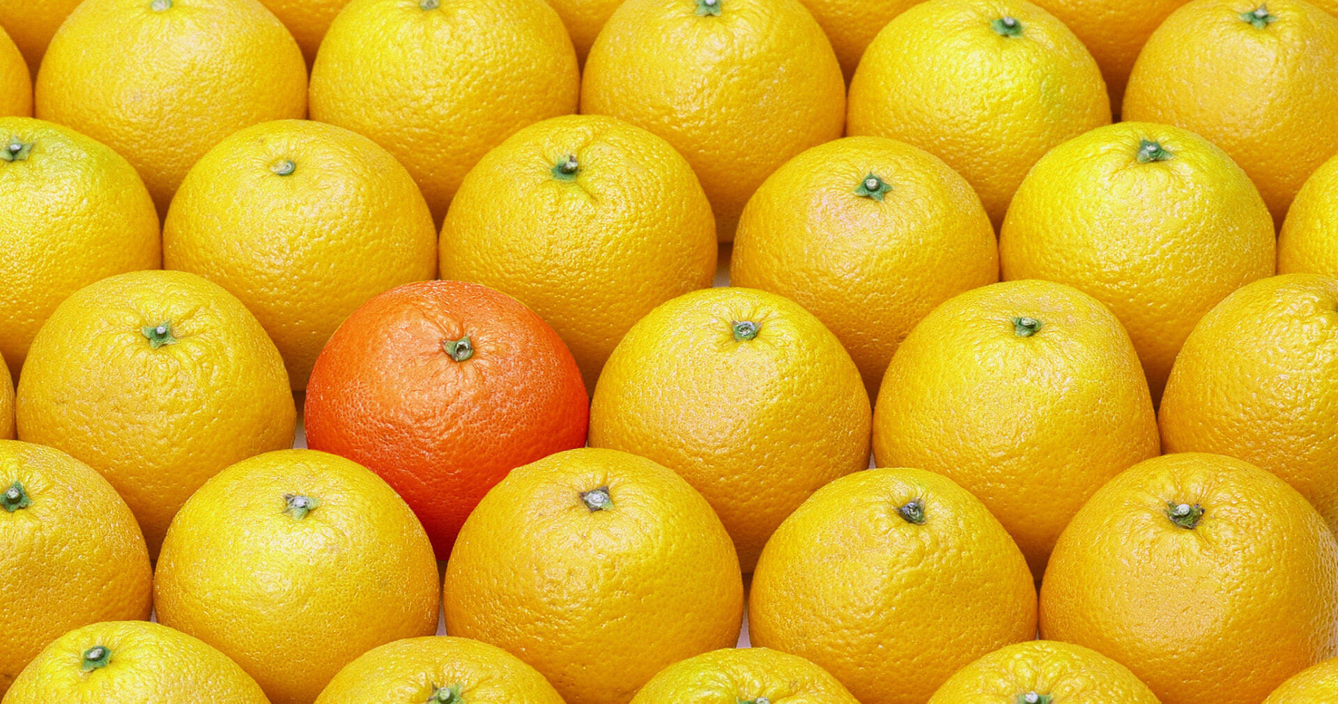 Как компании выбирают агентства?