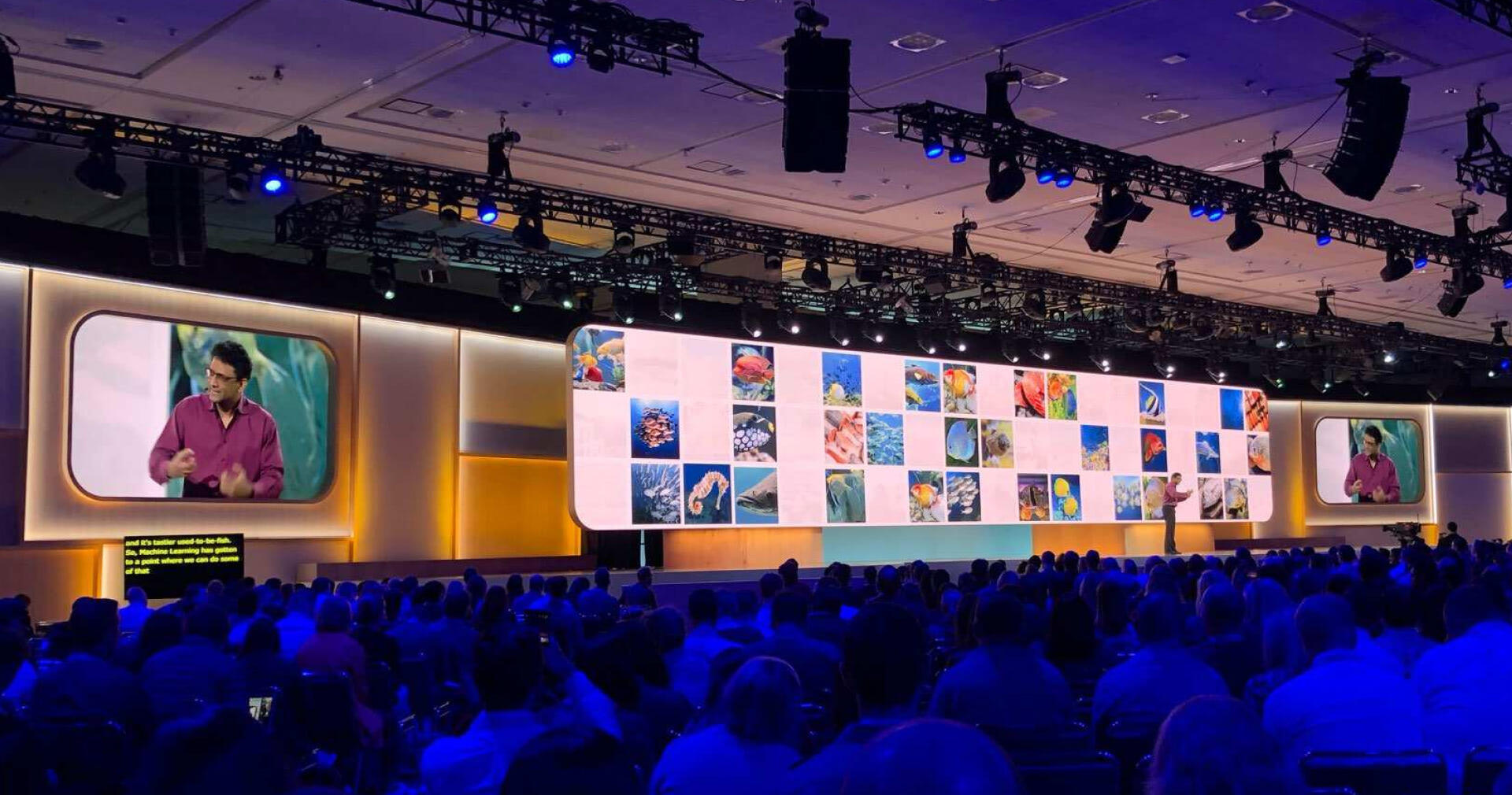 Найди 10 отличий: сравниваем конференции Яндекса и Google